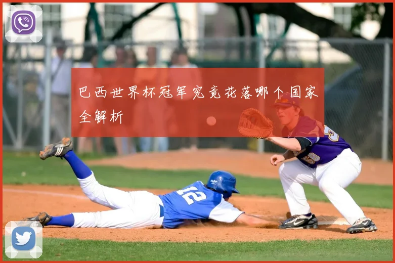 巴西世界杯冠军究竟花落哪个国家全解析