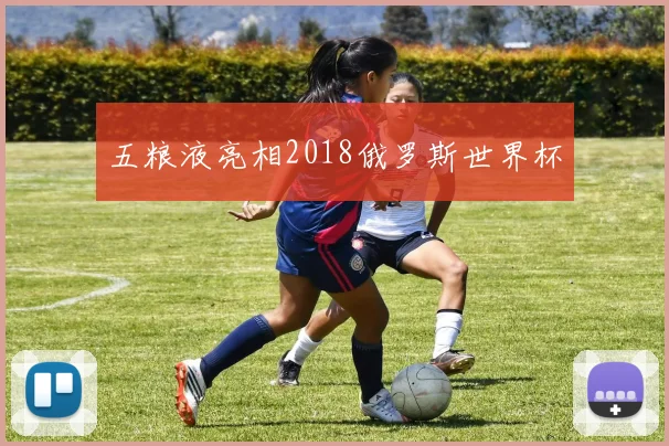 五粮液亮相2018俄罗斯世界杯