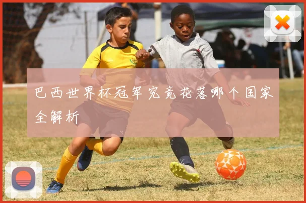 巴西世界杯冠军究竟花落哪个国家全解析